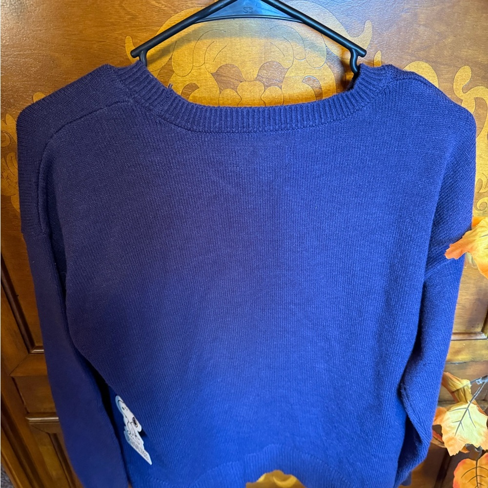 Peanuts Navy Sweater with Snoopy and Pink Hearts - Picture 4 of 4